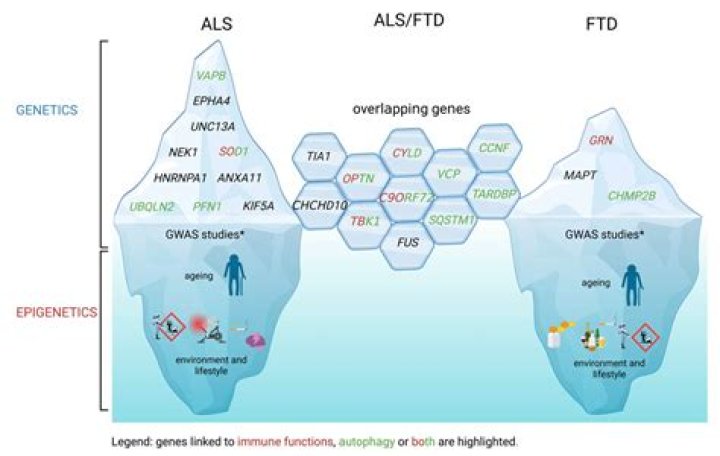 Discoveries And Insights For ALS And FTD